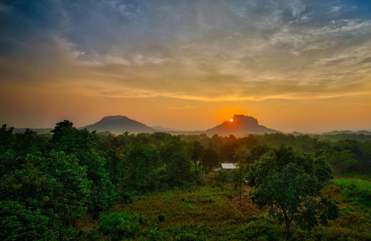 Choona Lodge 'View Of Sigiriya & Pidurangala With Sunrise' Eksteriør billede