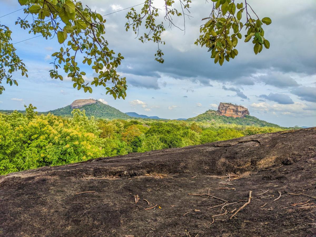 Choona Lodge 'View Of Sigiriya & Pidurangala With Sunrise' Eksteriør billede